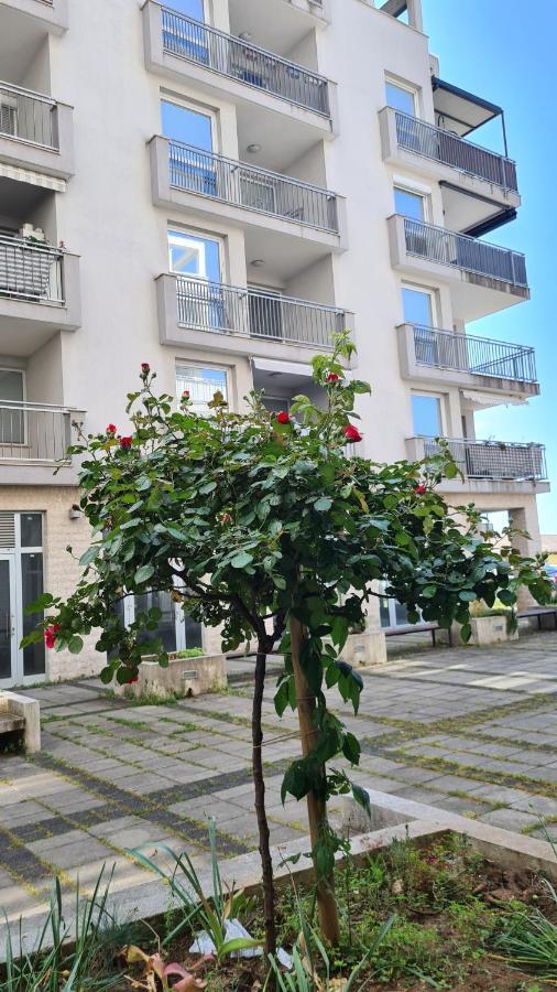 Apartment Mia Milija Rijeka Extérieur photo